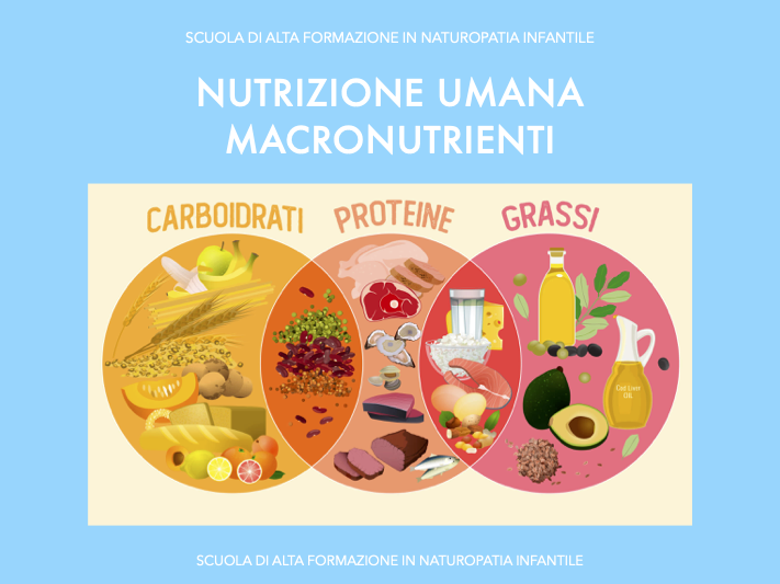 Nutrizione umana 1