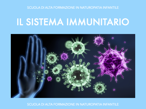 Sistema immunitario