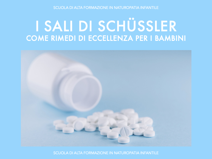 I sali di Schussler