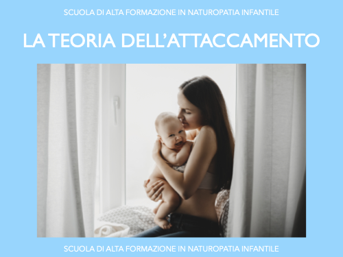 Sintesi dei principi della teoria dell’attaccamento