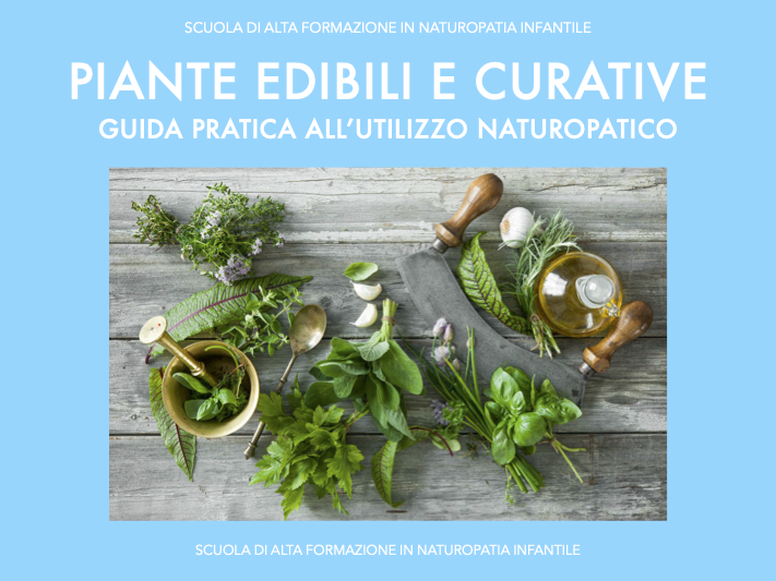 Piante edibili e curative